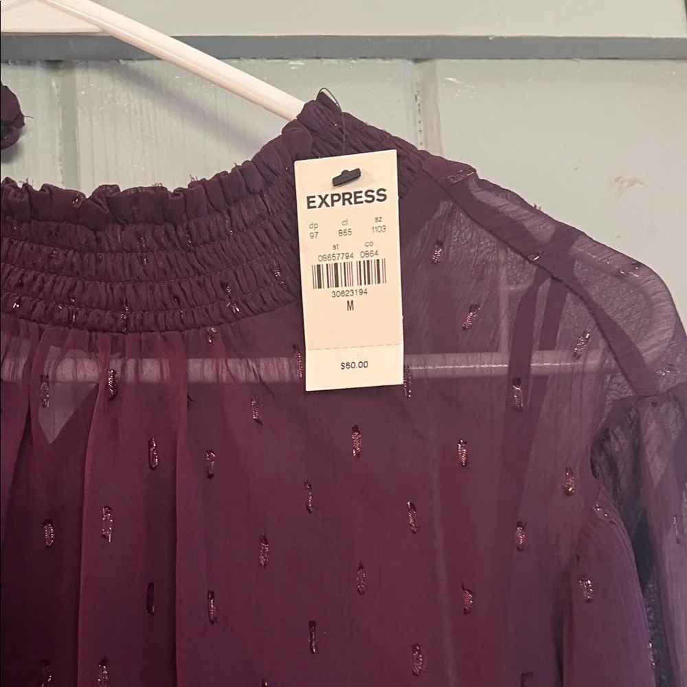 Express Plum Sheer Smocked Waist & Neck Long Sleeve Blouse - Picture 2 of 5